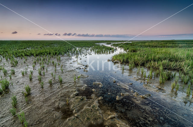 Noordpolder