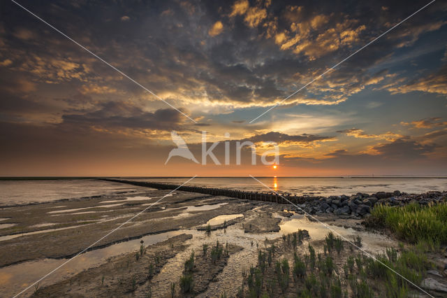 Waddenzee