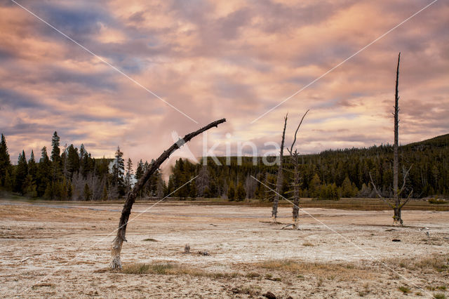 Yellowstone National Park