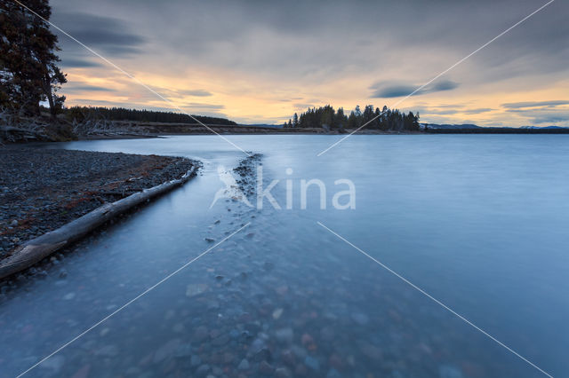 Yellowstone national park