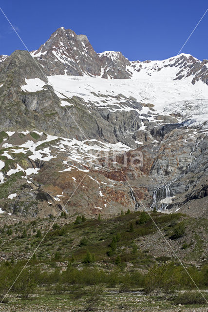 Aiguilles des Glaciers