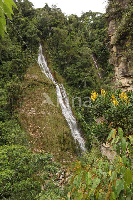 Cordillera Escalera