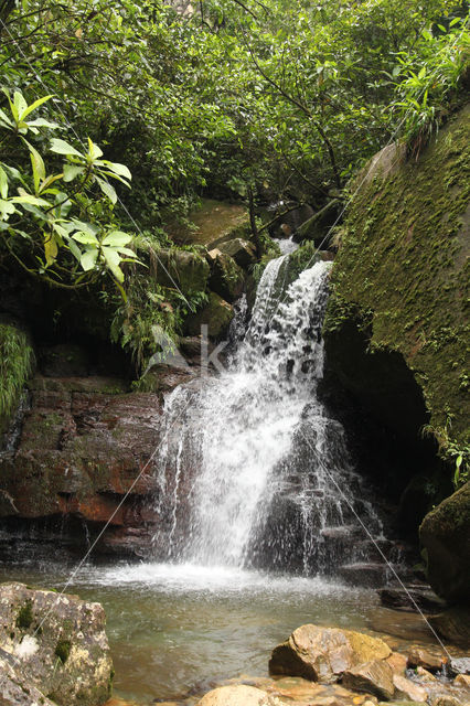 Cordillera Escalera