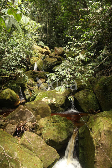 Cordillera Escalera