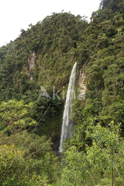 Cordillera Escalera