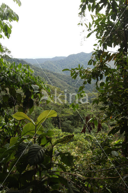 Cordillera Escalera