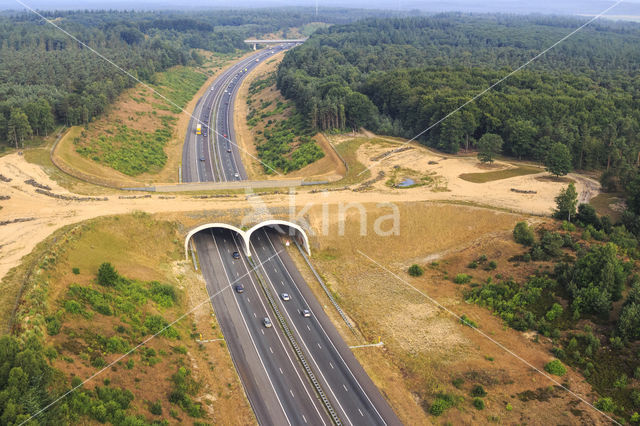 Ecoduct Hoog Buurlo