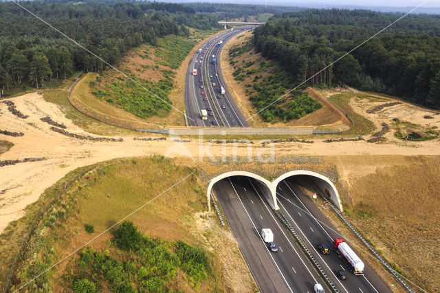 Ecoduct Hoog Buurlo