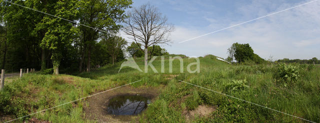 Ecoduct N350