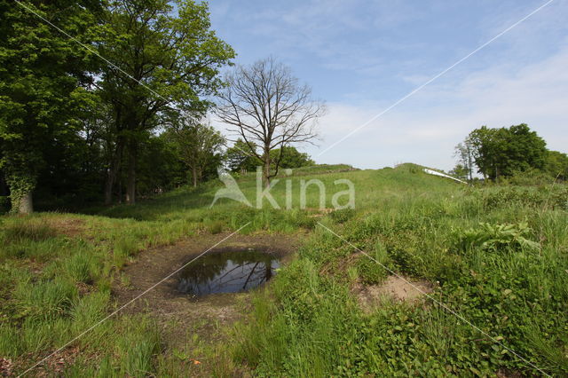 Ecoduct N350