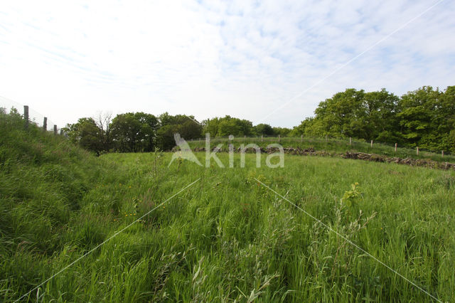 Ecoduct N350