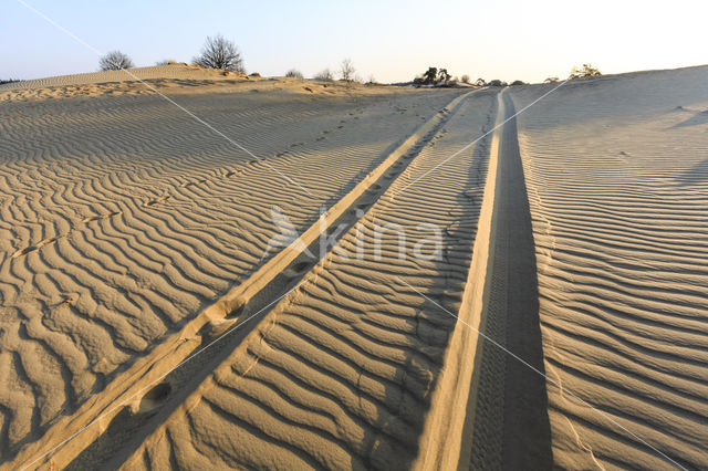 Kootwijkerzand