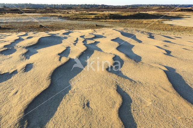 Kootwijkerzand