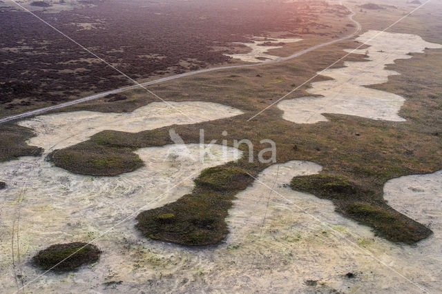 Kootwijkerzand