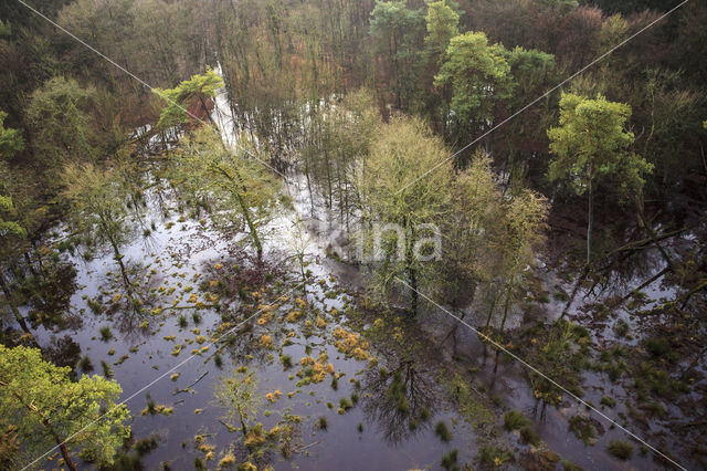 Landgoed Leuvenhorst