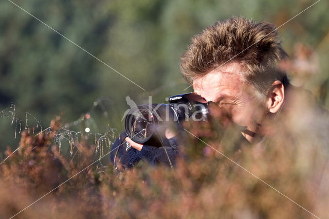 National Park Dwingelderveld