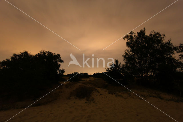 Nationaal Park Loonse en Drunense Duinen