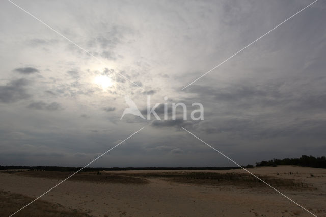 Nationaal Park Loonse en Drunense Duinen