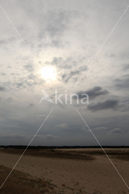 Nationaal Park Loonse en Drunense Duinen