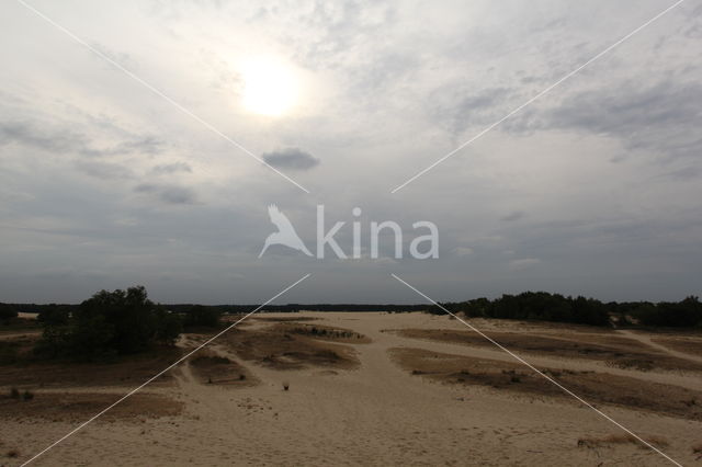 National Park Loonse en Drunense Duinen