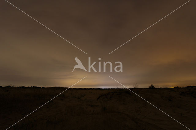 Nationaal Park Loonse en Drunense Duinen