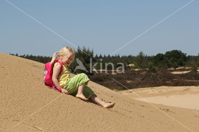 Nationaal Park Loonse en Drunense Duinen