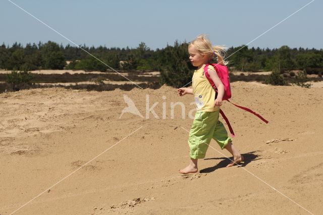 National Park Loonse en Drunense Duinen