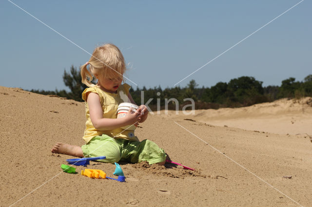 National Park Loonse en Drunense Duinen