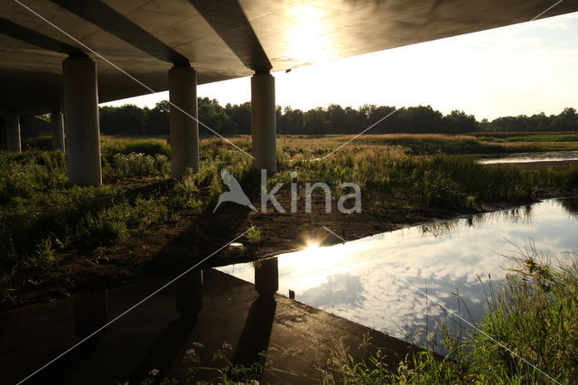 ecoduct