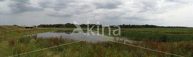 Nationaal Park Weerribben-Wieden