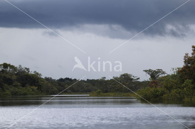 Tamshiyacu Tahuayo Reserve