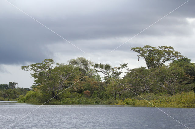 Tamshiyacu Tahuayo Reserve