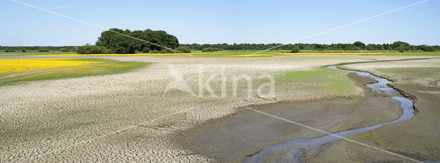 Etang du Blizon