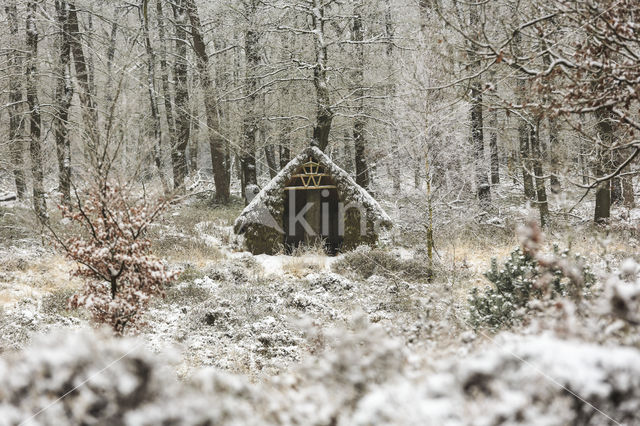 Koninklijke houtvesterij het Loo