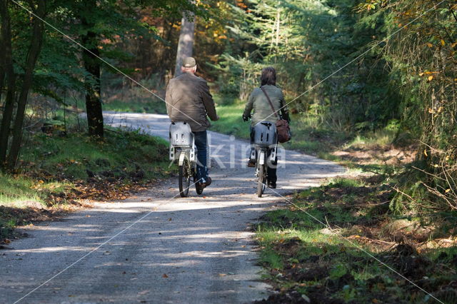 National Park De Hoge Veluwe