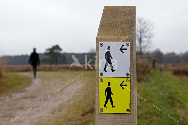 Nationaal Park Dwingelderveld