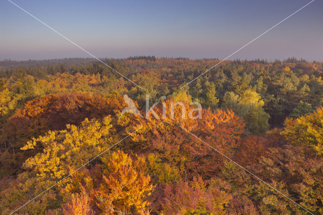 Nationaal park Utrechtse Heuvelrug