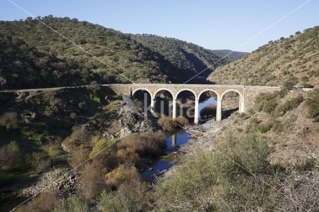 Puente Rio Salor