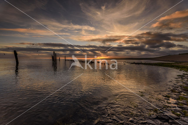 polder De Volharding