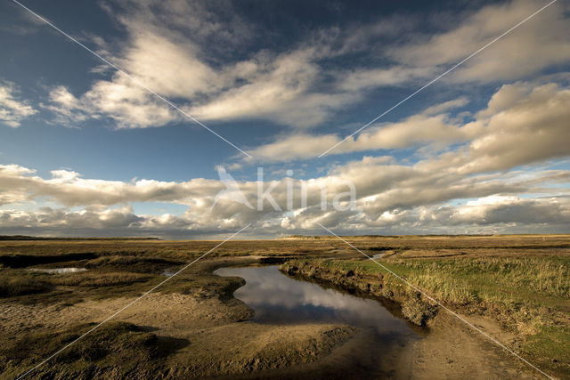 Nationaal Park Duinen van Texel