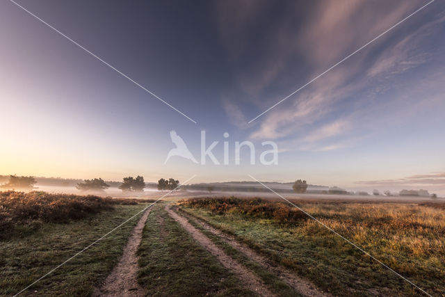 Hoorneboegse Heide