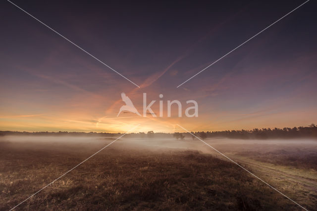 Hoorneboegse Heide