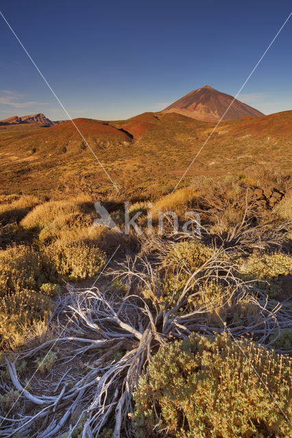 Parque Nacional de Pico del Teide