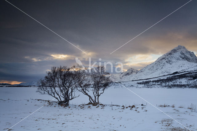 Lofoten eilanden