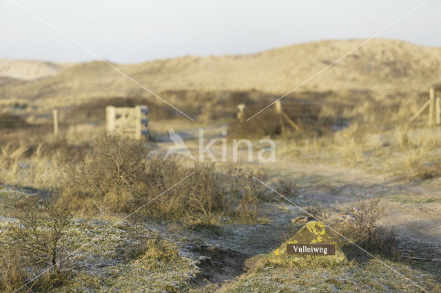 Noordhollands Duinreservaat