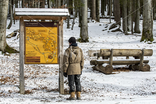 Nationaal park Beierse Woud