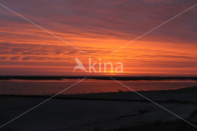 Waddenzee