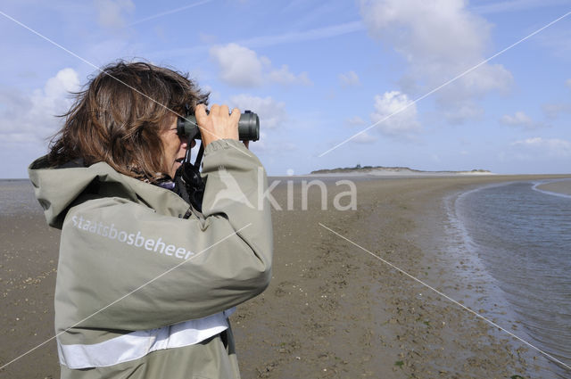 Waddenzee