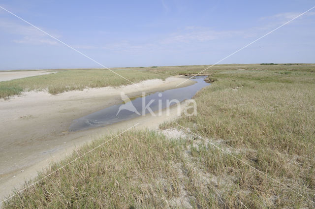 Waddenzee