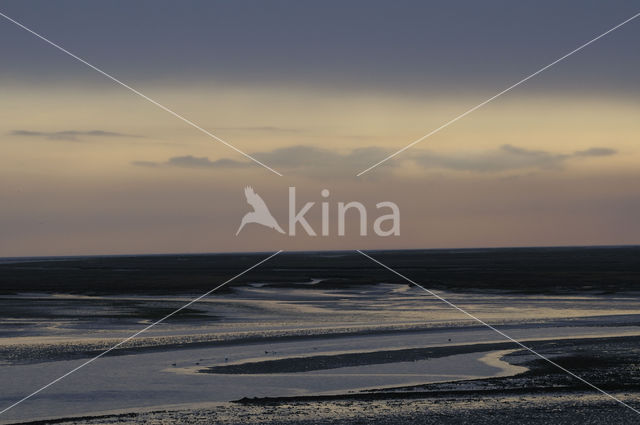 Waddenzee
